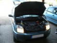 /album/ford-fusion/p1020510-jpg/